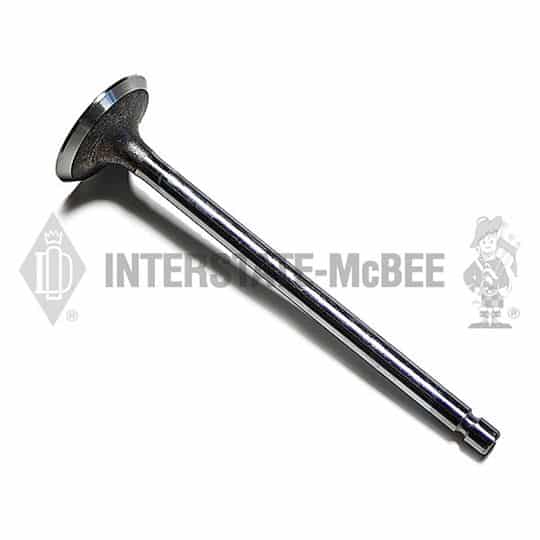 m 3979602.jpg