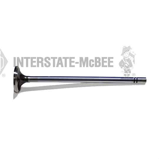 m 4907200.jpg