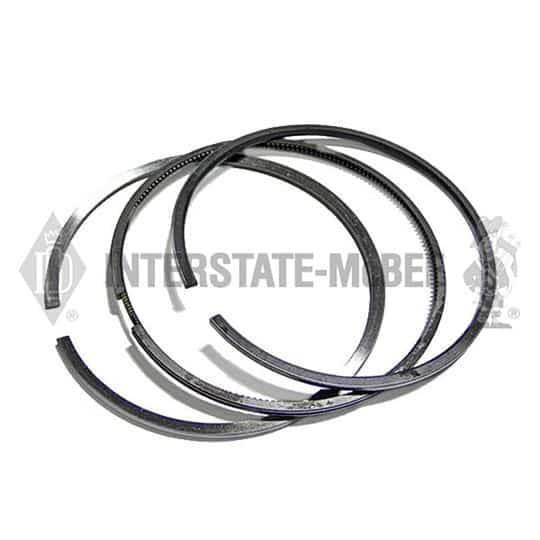 m 4955251.jpg
