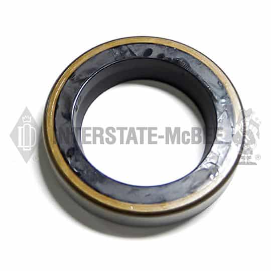 m 4j8979.jpg