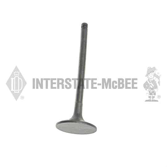 m 5i7738.jpg