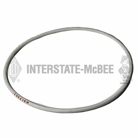 m 5i7981.jpg