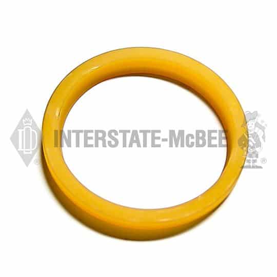 m 5j8156.jpg
