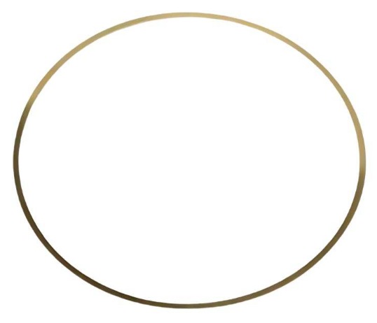 Shim - 0.031 Liner Brass - S60 | Detroit Diesel Engine | A-S60-31 SHIM