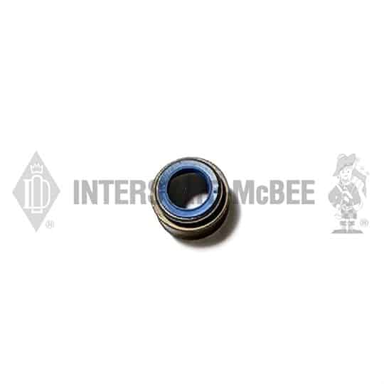 m 4003966.jpg