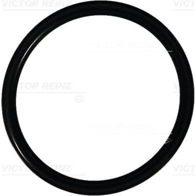 O-Seal [Fuel Pump | Deutz 511 | M1174312