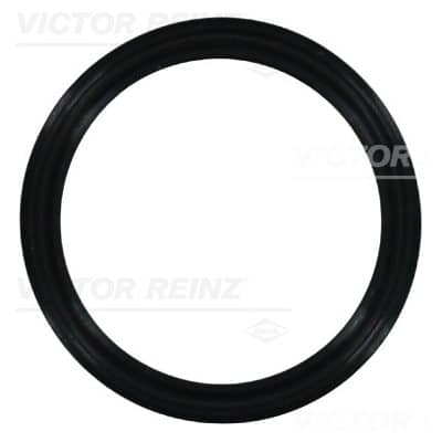 Sealing Ring [Manifold | Deutz D 2.9 L4 | M4132946